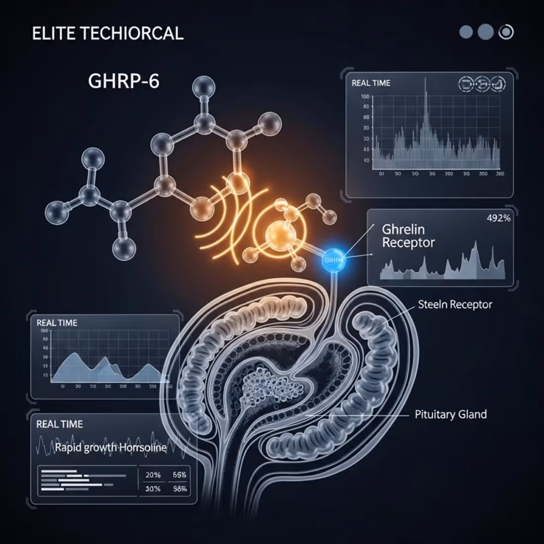 GHRP-6 — illustration de dossier de recherche