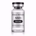 NAD+ — visuel 2